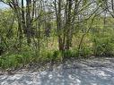 31 Franks Lane, Bridgewater, NS 