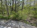 31 Franks Lane, Bridgewater, NS 