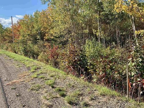 Highway 321, Roslin, NS 