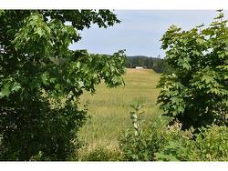 Lot 14 Rankine RD  Bayside, NB E5B 2S7