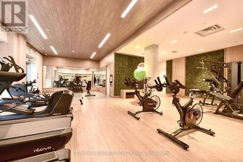 232 - 3250 Carding Mill Trail, Oakville, ON - Indoor Photo Showing Gym Room