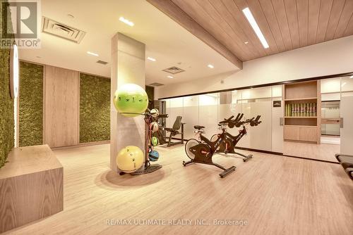 232 - 3250 Carding Mill Trail, Oakville, ON - Indoor Photo Showing Gym Room