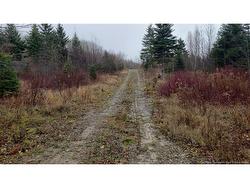 . Urney RD  Waterford, NB E4E 5A4