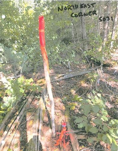 Lot 09-02 Trueman Graham Rd, Harvey, NB 