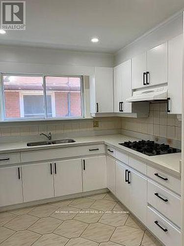 351 Queen Victoria Drive, Hamilton, ON - Indoor Photo Showing Kitchen With Double Sink