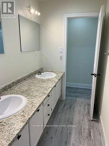 351 Queen Victoria Drive, Hamilton, ON - Indoor Photo Showing Bathroom