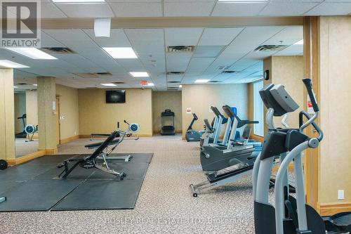 207 - 185 Oneida Crescent, Richmond Hill, ON - Indoor Photo Showing Gym Room