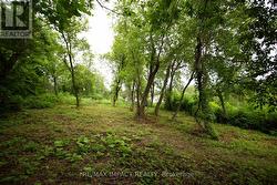 16216 HWY 2, PT 3 & PT 4  Quinte West (Murray Ward), ON K0K 1H0