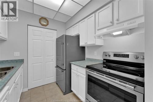 315 Village Grove Unit# 501, Tecumseh, ON - Indoor Photo Showing Kitchen With Double Sink