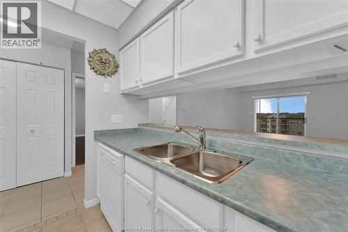 315 Village Grove Unit# 501, Tecumseh, ON - Indoor Photo Showing Kitchen With Double Sink