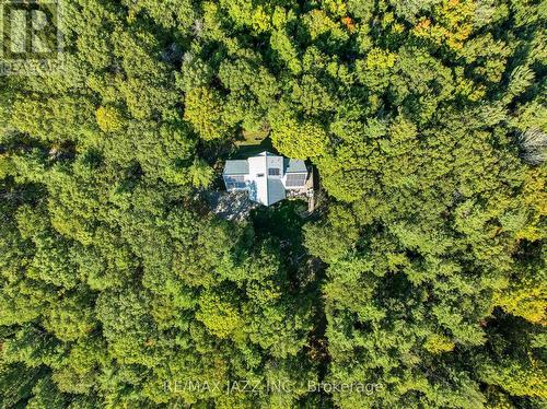 9500 Grasshopper Park Road, Clarington, ON - Outdoor