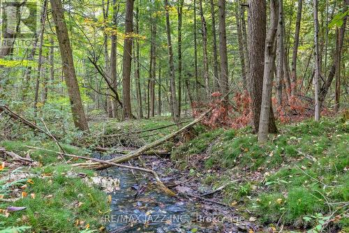 9500 Grasshopper Park Road, Clarington, ON - Outdoor With View