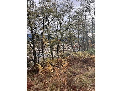 Lot B 9Th Avenue, Castlegar, BC 