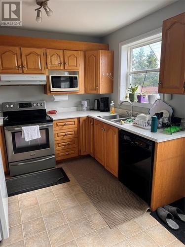 51 Moss Heather Drive, St. John'S, Nl, NL - Indoor Photo Showing Kitchen With Double Sink