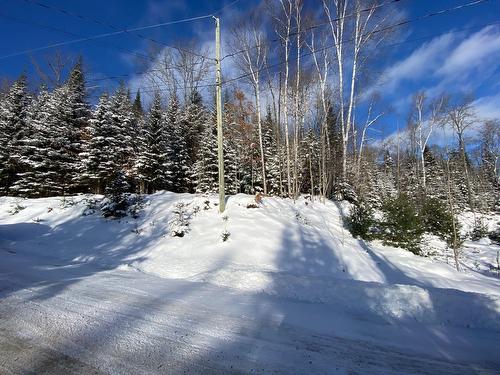 Land/Lot - Ch. Du Lac-Boileau O., Rivière-Rouge, QC 