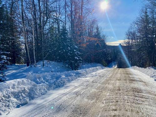 Street - Ch. Du Lac-Boileau O., Rivière-Rouge, QC 