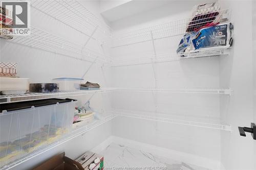 79 Noble Court, Amherstburg, ON - Indoor With Storage