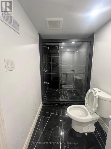 Bsmt - 69 Jessop Drive, Brampton, ON - Indoor Photo Showing Bathroom