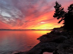 608 & 610 Tumbo Channel Rd Saturna Island, BC V0N 2Y0