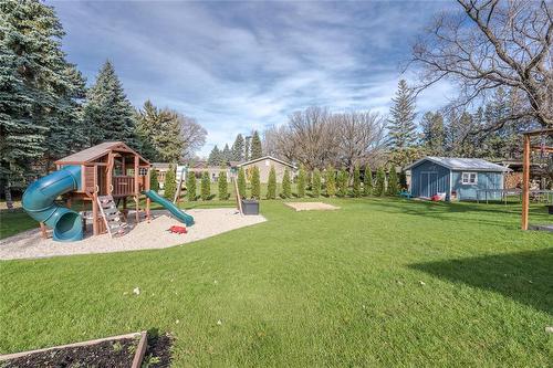 223 Main Street, Grunthal, MB - Outdoor With Backyard