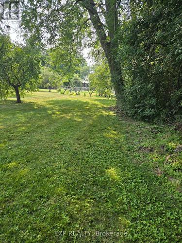 N/A Metro Road N, Georgina, ON 