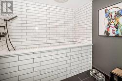 Pet Wash wash station 53 - 