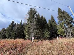 Rue St-Charles-Borromée  Nominingue, QC J0W 1R0