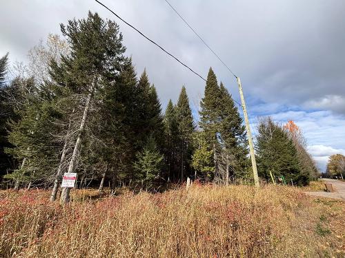 Extérieur - Rue St-Charles-Borromée, Nominingue, QC 