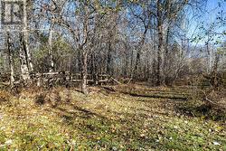 23 acres of nature and peaceful tranquility - 