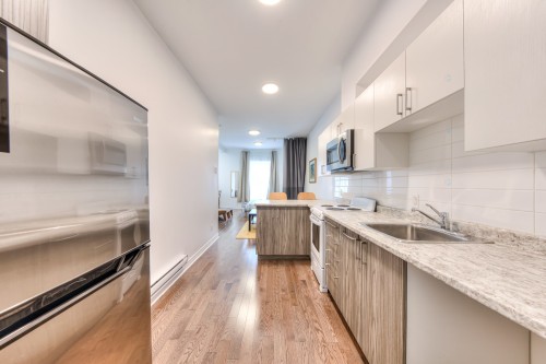 Cuisine - 1-2311 Rue Ontario E., Montréal (Ville-Marie), QC - Indoor Photo Showing Kitchen With Upgraded Kitchen