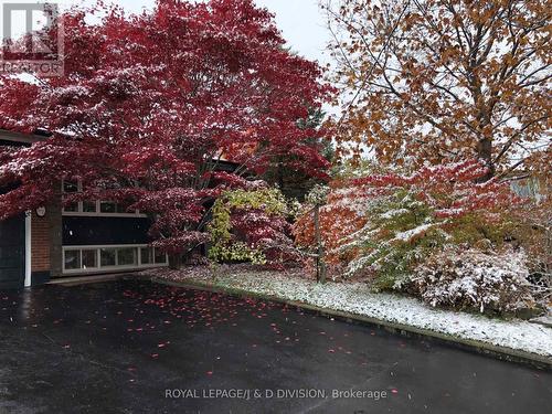 27 Paramount Court, Toronto, ON - Outdoor