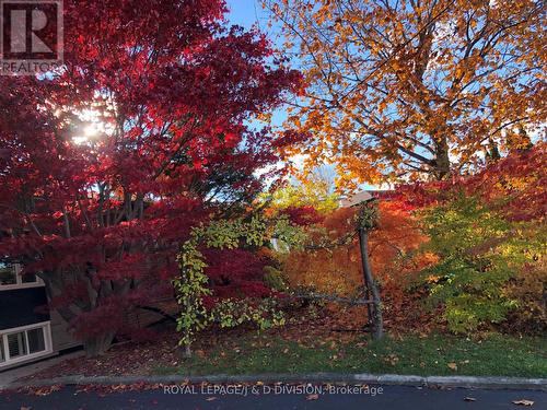 27 Paramount Court, Toronto, ON - Outdoor