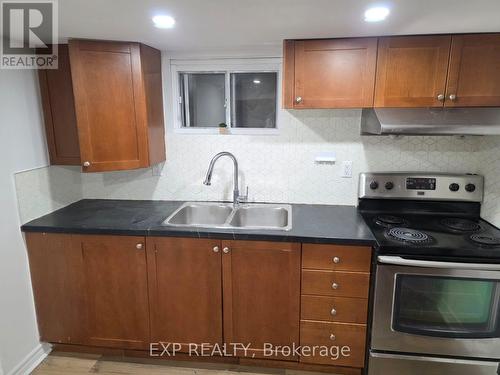 Basement - 19 West 1St Street, Hamilton, ON - Indoor Photo Showing Kitchen With Double Sink