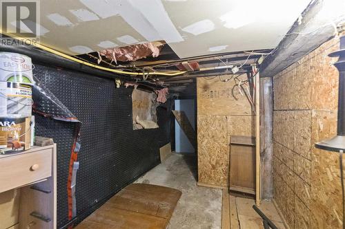 195 Maple St, Sault Ste. Marie, ON - Indoor Photo Showing Basement