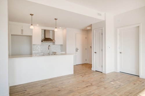 Kitchen - 201-5961 Boul. René-Lévesque, Sherbrooke (Brompton/Rock Forest/Saint-Élie/Deauville), QC - Indoor Photo Showing Kitchen With Double Sink