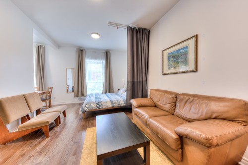 Living Room - 1-2313 Rue Ontario E., Montréal (Ville-Marie), QC - Indoor Photo Showing Living Room