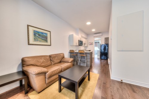 Living Room - 1-2313 Rue Ontario E., Montréal (Ville-Marie), QC - Indoor Photo Showing Living Room