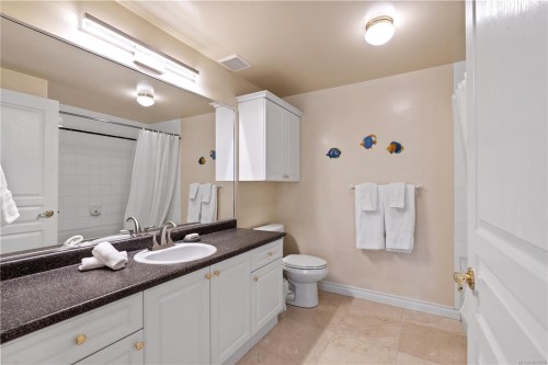 102-405 Quebec St, Victoria, BC - Indoor Photo Showing Bathroom