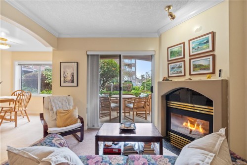 102-405 Quebec St, Victoria, BC - Indoor Photo Showing Living Room With Fireplace