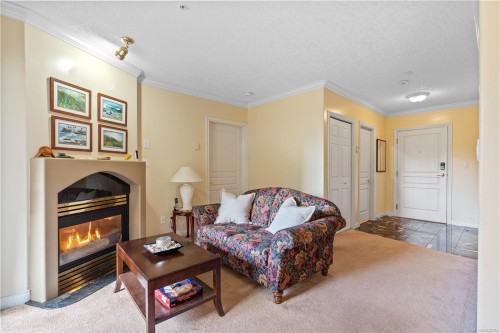 102-405 Quebec St, Victoria, BC - Indoor Photo Showing Living Room With Fireplace