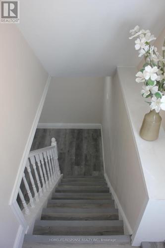 Lower - 54 Gladstone Square, Brampton, ON - Indoor Photo Showing Other Room