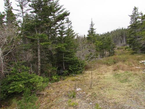 2 Penney'S Road, Holyrood, NL 