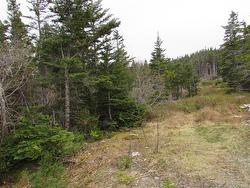 2 Penney's Road  Holyrood, NL A0A 2R0