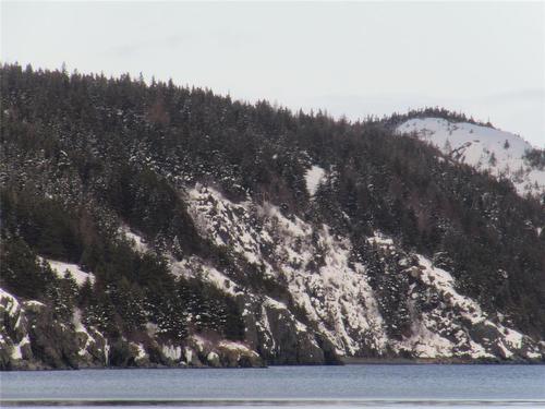 2 Penney'S Road, Holyrood, NL 