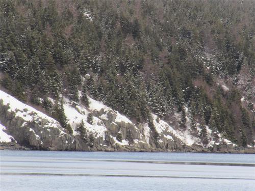 2 Penney'S Road, Holyrood, NL 