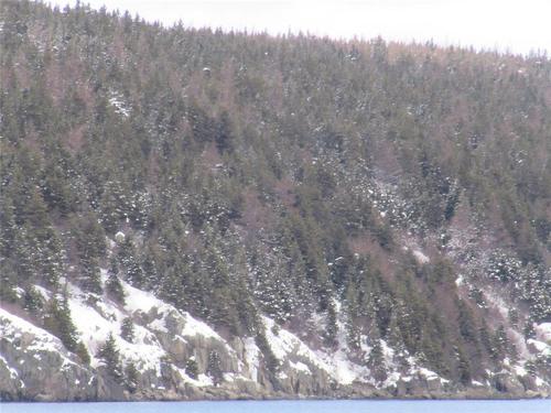 2 Penney'S Road, Holyrood, NL 