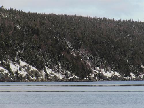 2 Penney'S Road, Holyrood, NL 