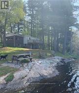4019 MUSKOKA 169 ROAD Muskoka Lakes (Medora), ON P0C 1A0