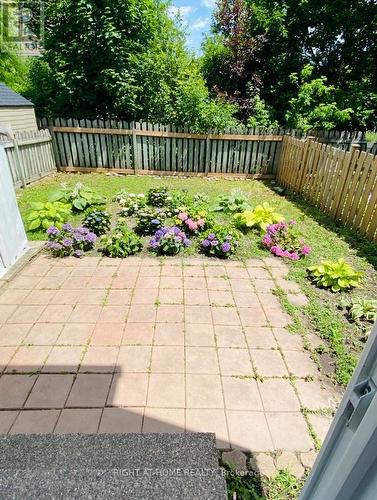 rear yard in Summer - 95 - 1474 Heatherington Road, Ottawa, ON - Outdoor