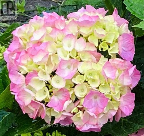 95 - 1474 Heatherington Road, Ottawa, ON - Outdoor With View